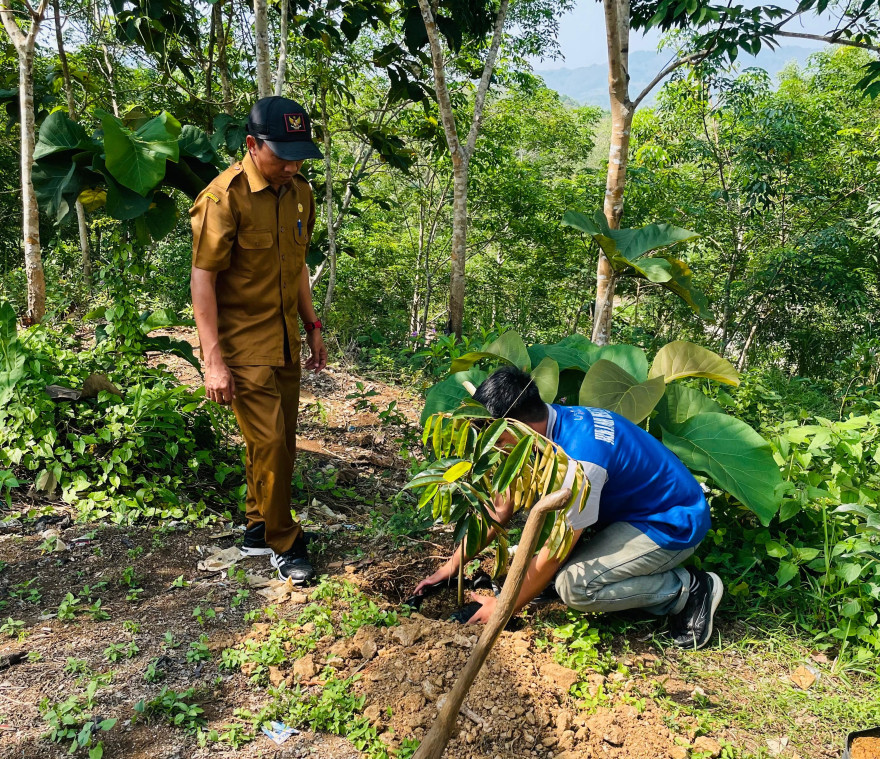 Pemerintah Desa Sukajaya Bersama Anak-anak KKN UNIGAL melakukan penanaman pohon di Sekitar Kantor Desa Sukajaya